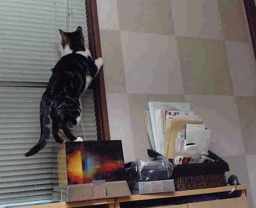 王者迟暮，霍勒迪致命一刺与时代更迭的钟声