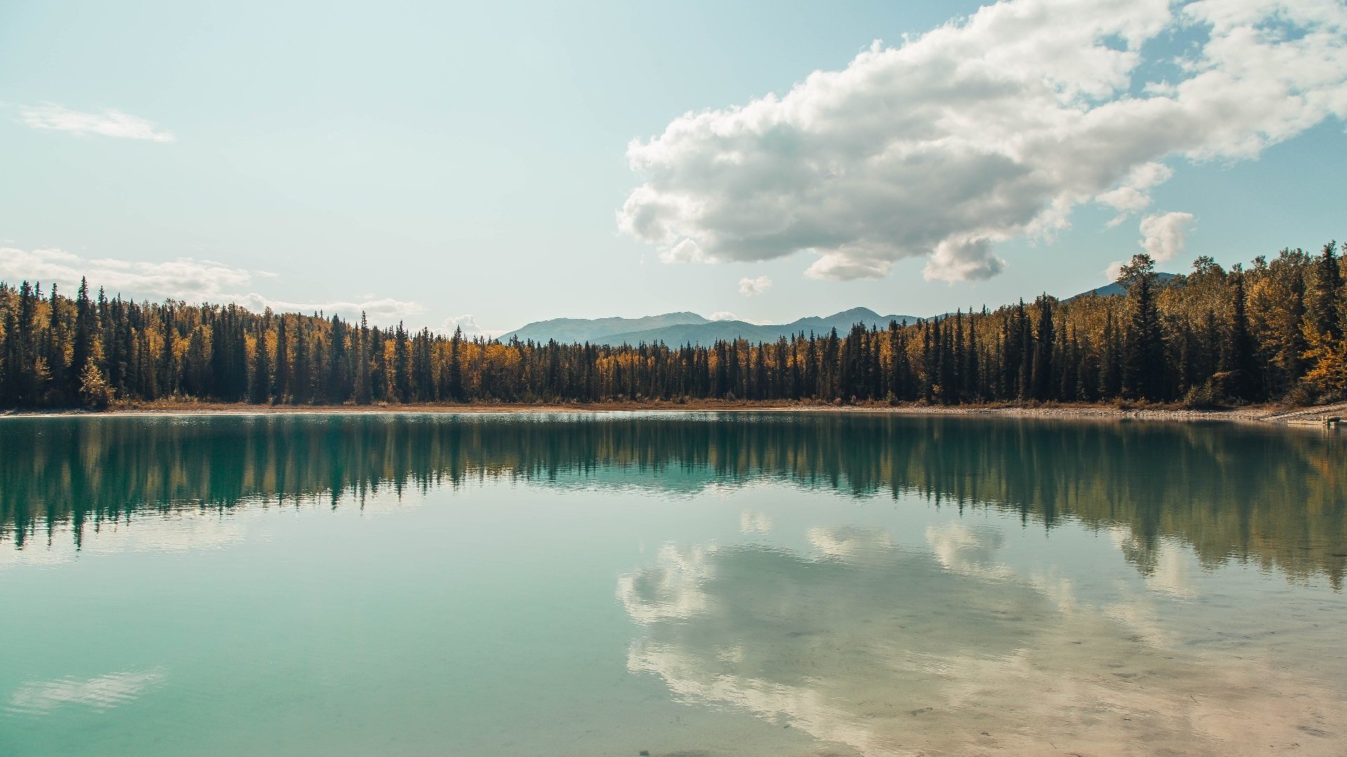 欧文飓风席卷球场！广厦38分狂胜鹈鹕背后的篮球魔力