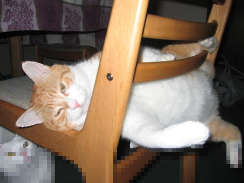 微操,节奏,无声掌控,霍勒迪如何用非典型方式主导火雷之战