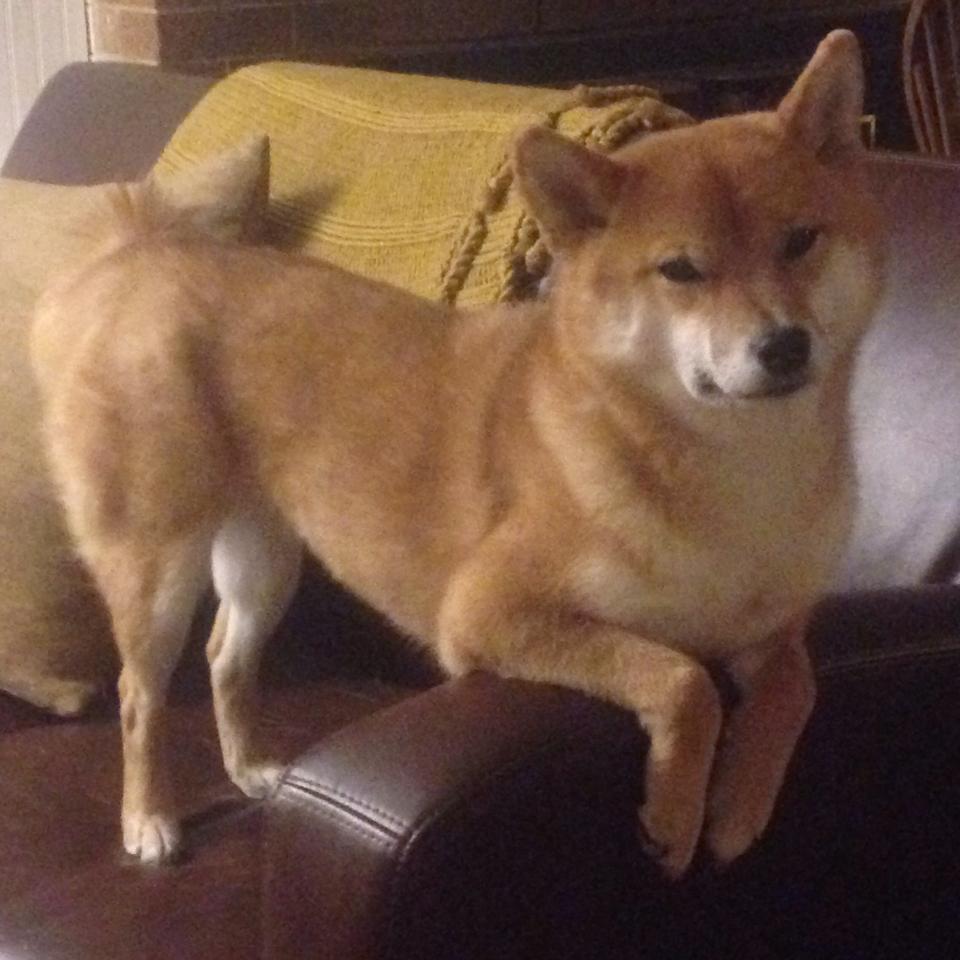 铁骑踏破皮斯胡安！苏亚雷斯孤胆英雄导演逆袭