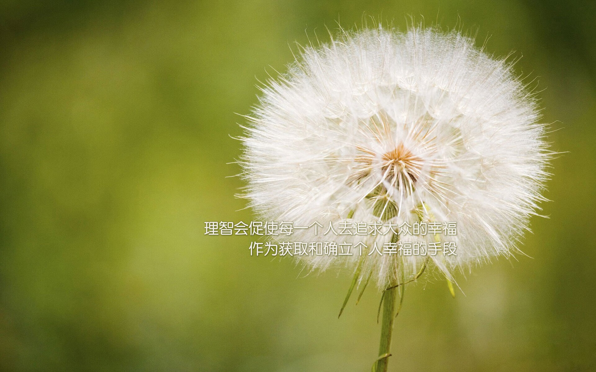 篮球之夜的两种极致，湖人绝杀爵士与莫兰特的教科书表现