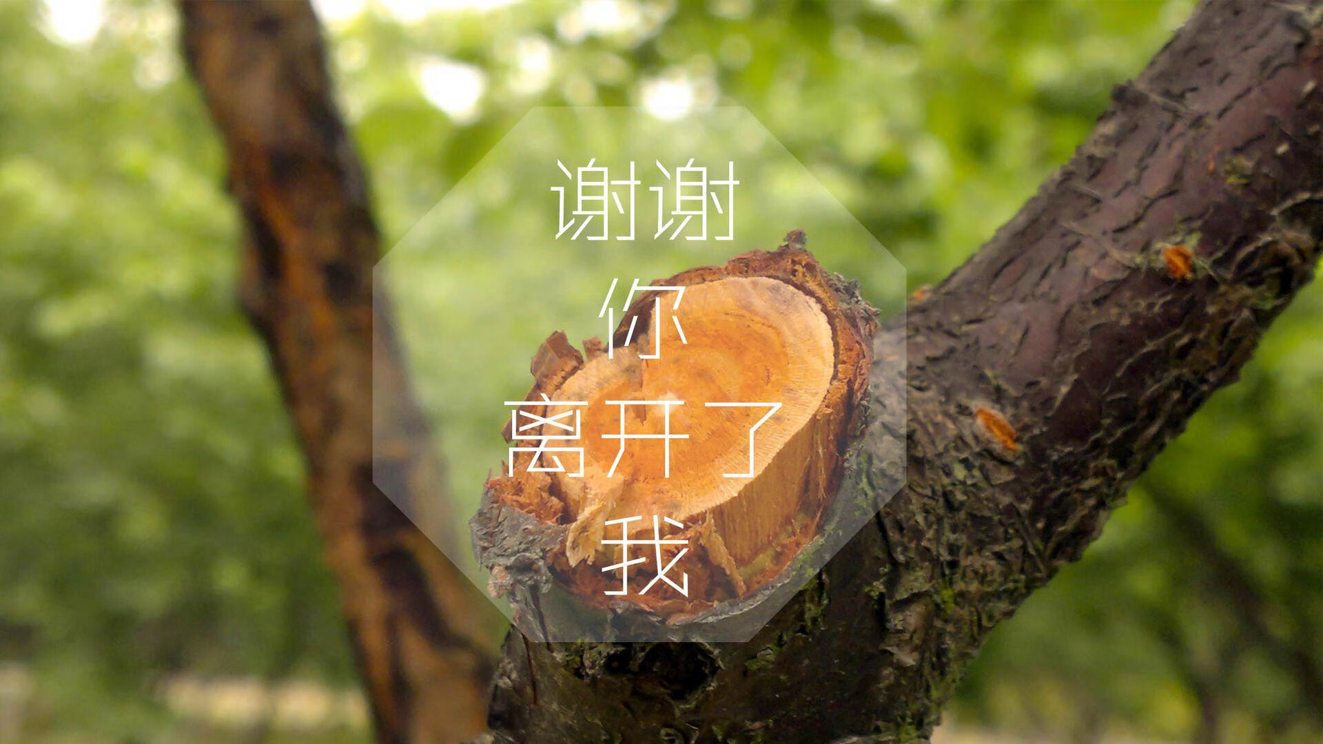 雷火电竞充值-沙漠之巅的蓝色闪电，格列兹曼导演绝杀，智利撕裂中亚铁幕