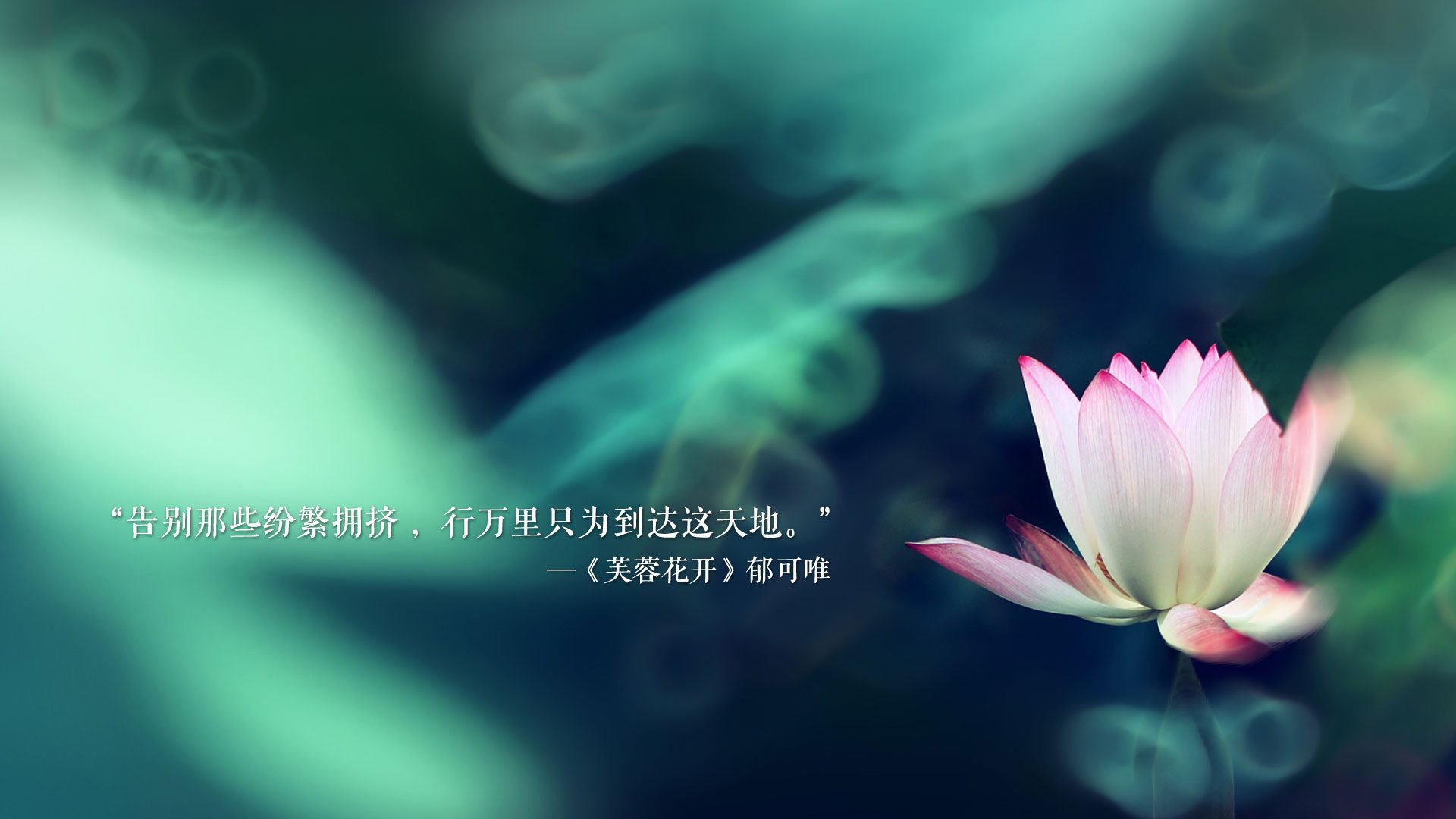 这是一篇为您定制的文章,标题和内容都紧扣唯一性与关键作用展开